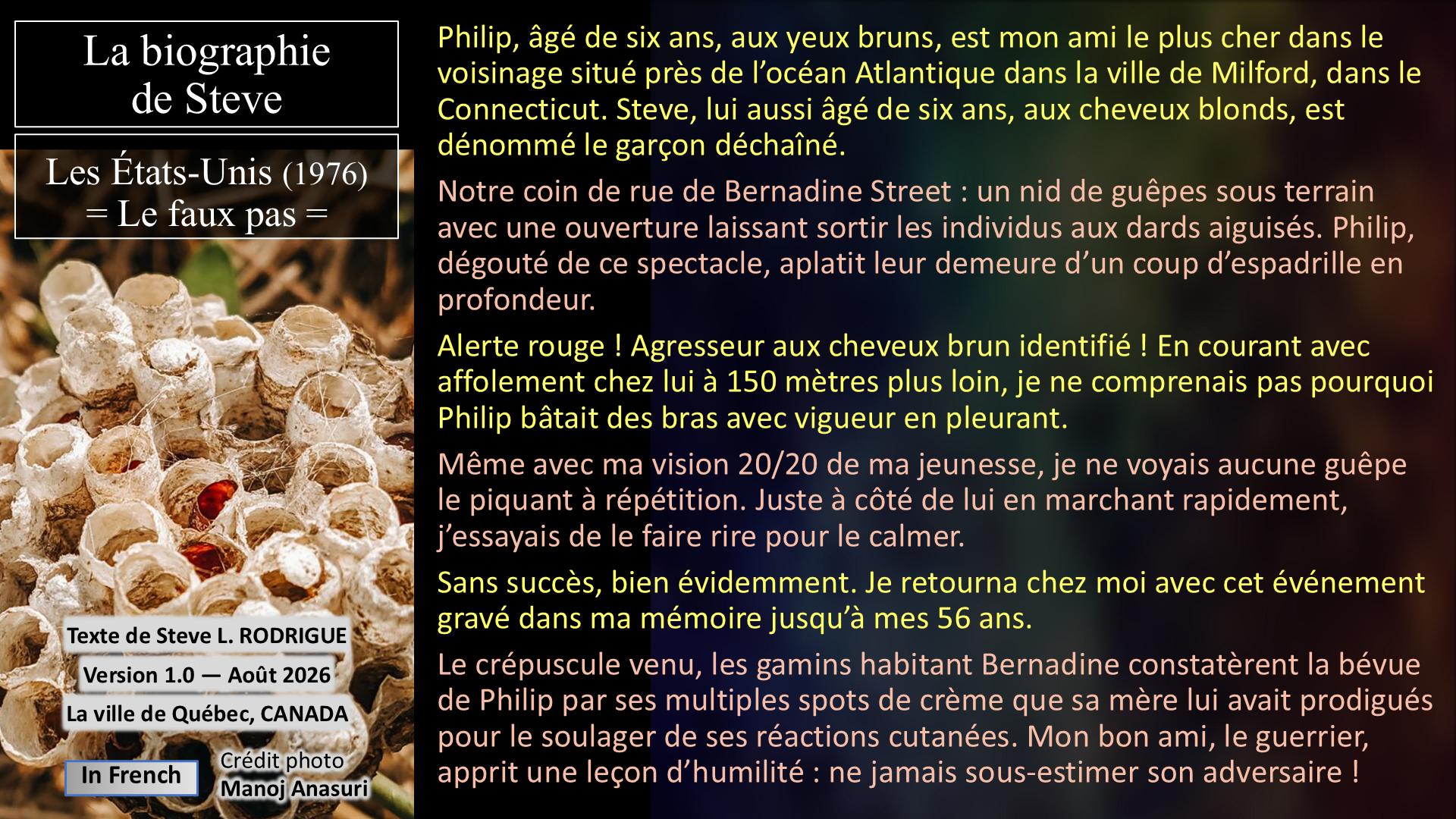 Le faux pas