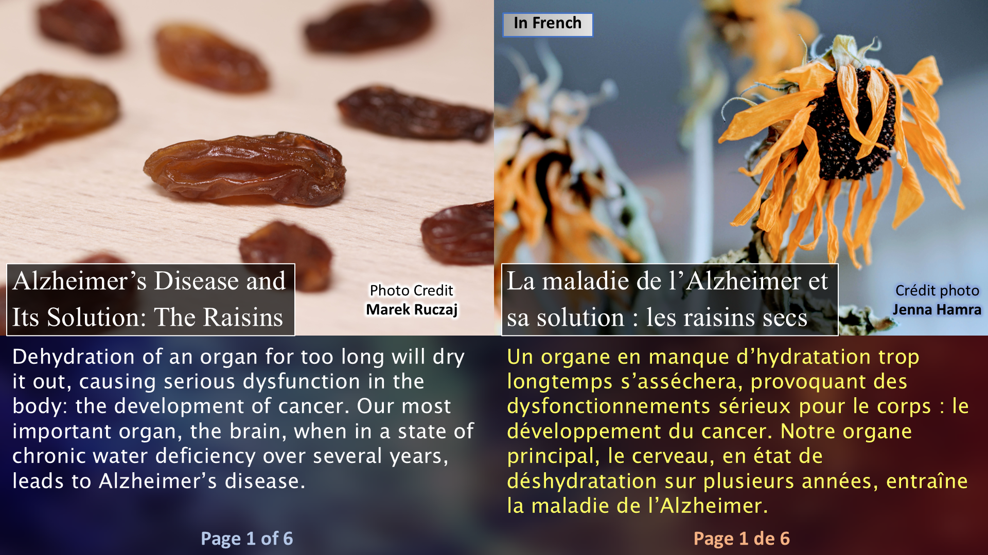 Alzheimer’s Disease and Its Solution: The Raisins / La maladie de l’Alzheimer et sa solution : les raisins secs - Page 01