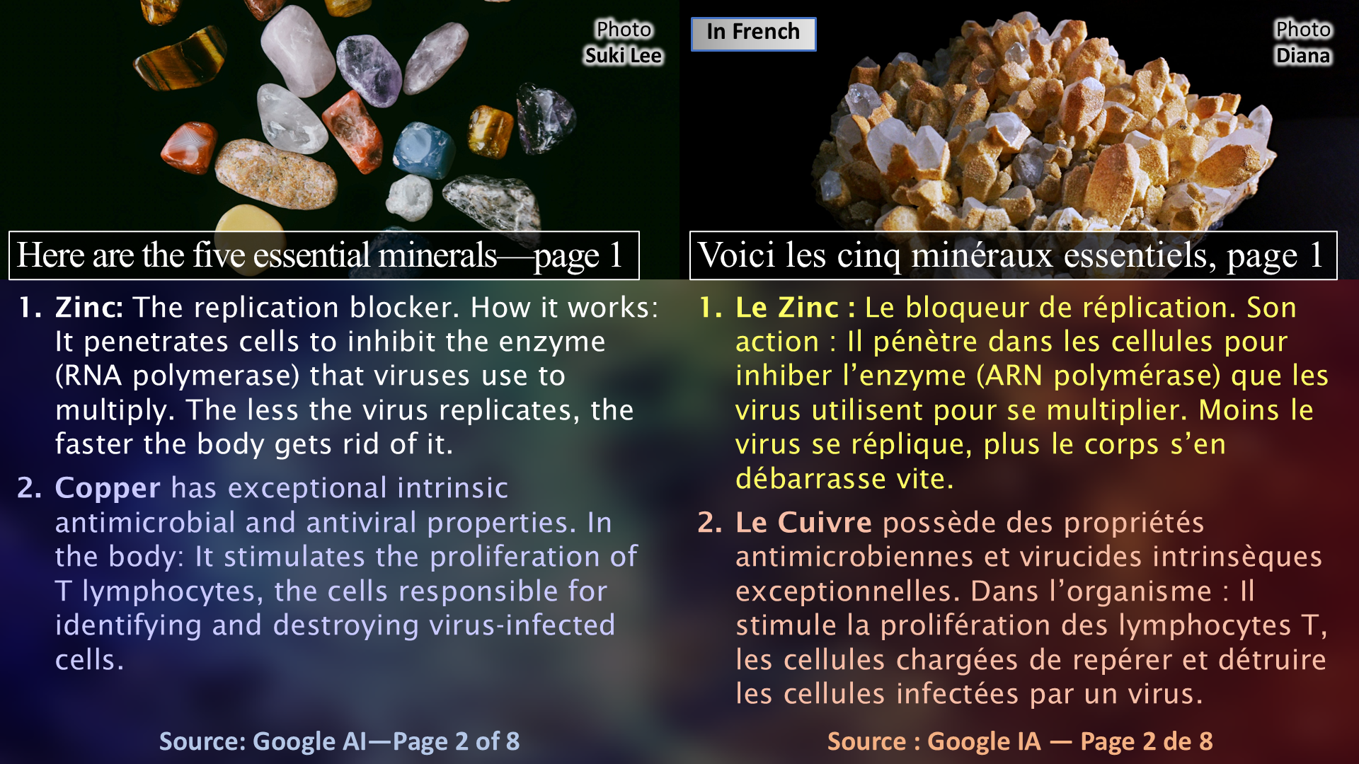 HIV and Its Solution: Oysters / Le VIH et sa solution : les huîtres - Page 02