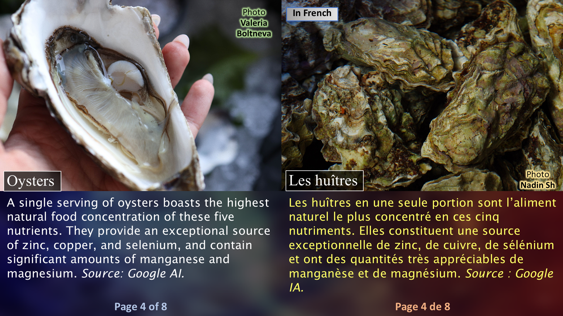 HIV and Its Solution: Oysters / Le VIH et sa solution : les huîtres - Page 04