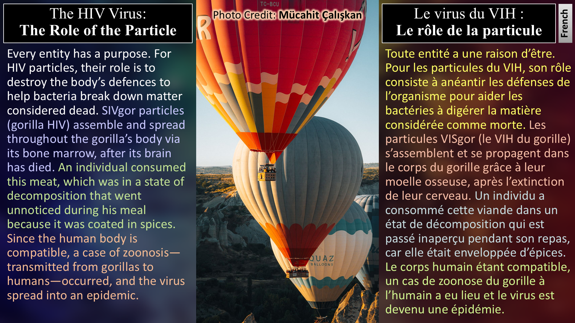 The HIV Virus: The Role of the Particle / Le virus du VIH : Le rôle de la particule