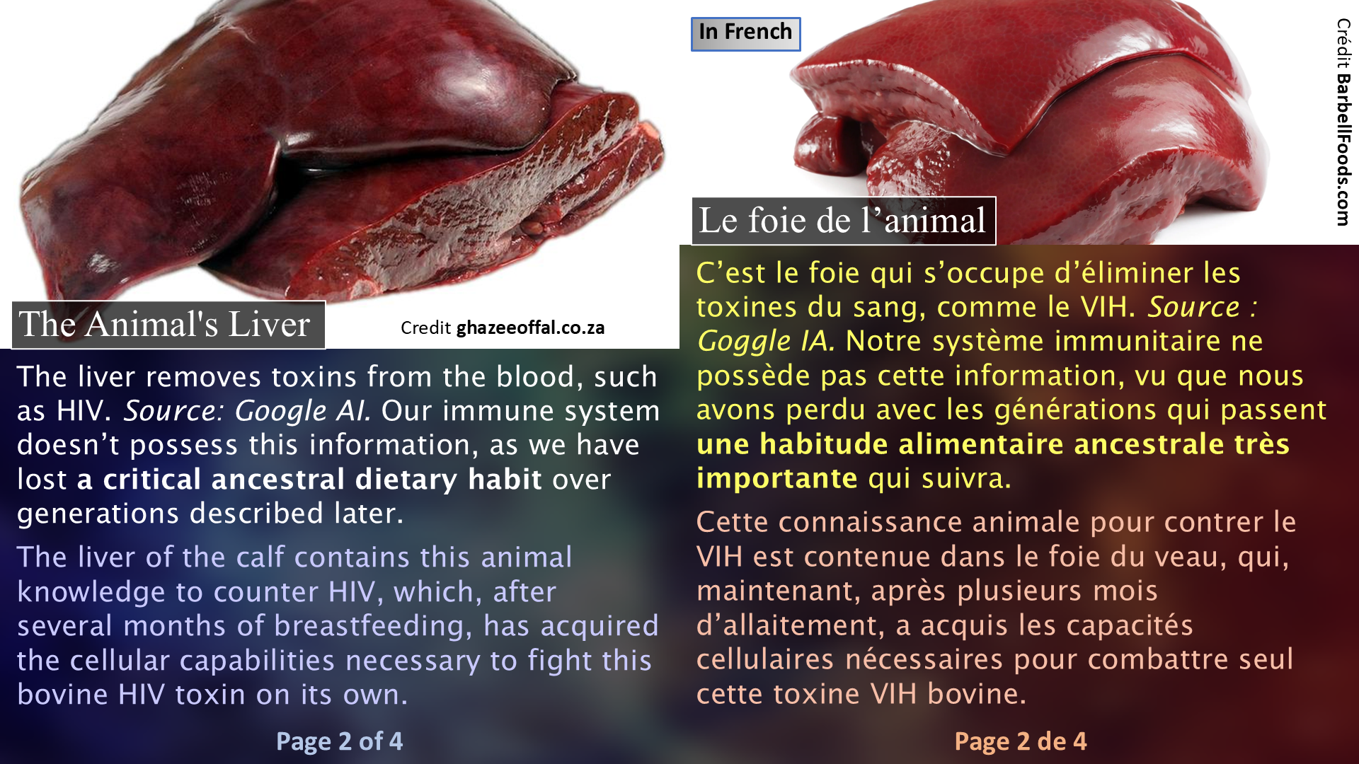 HIV and Our Ancestors / Le VIH et nos ancêtres - Page 2