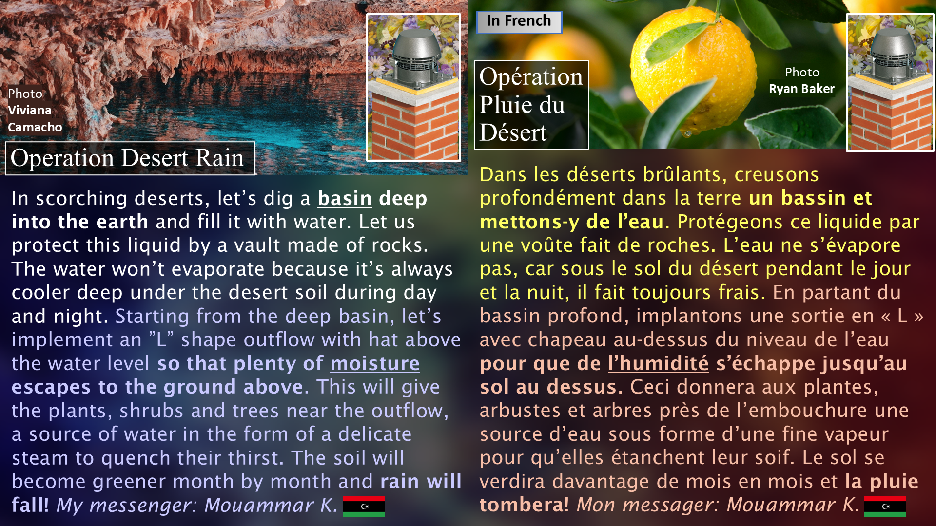 Desert Rain / Pluie du désert