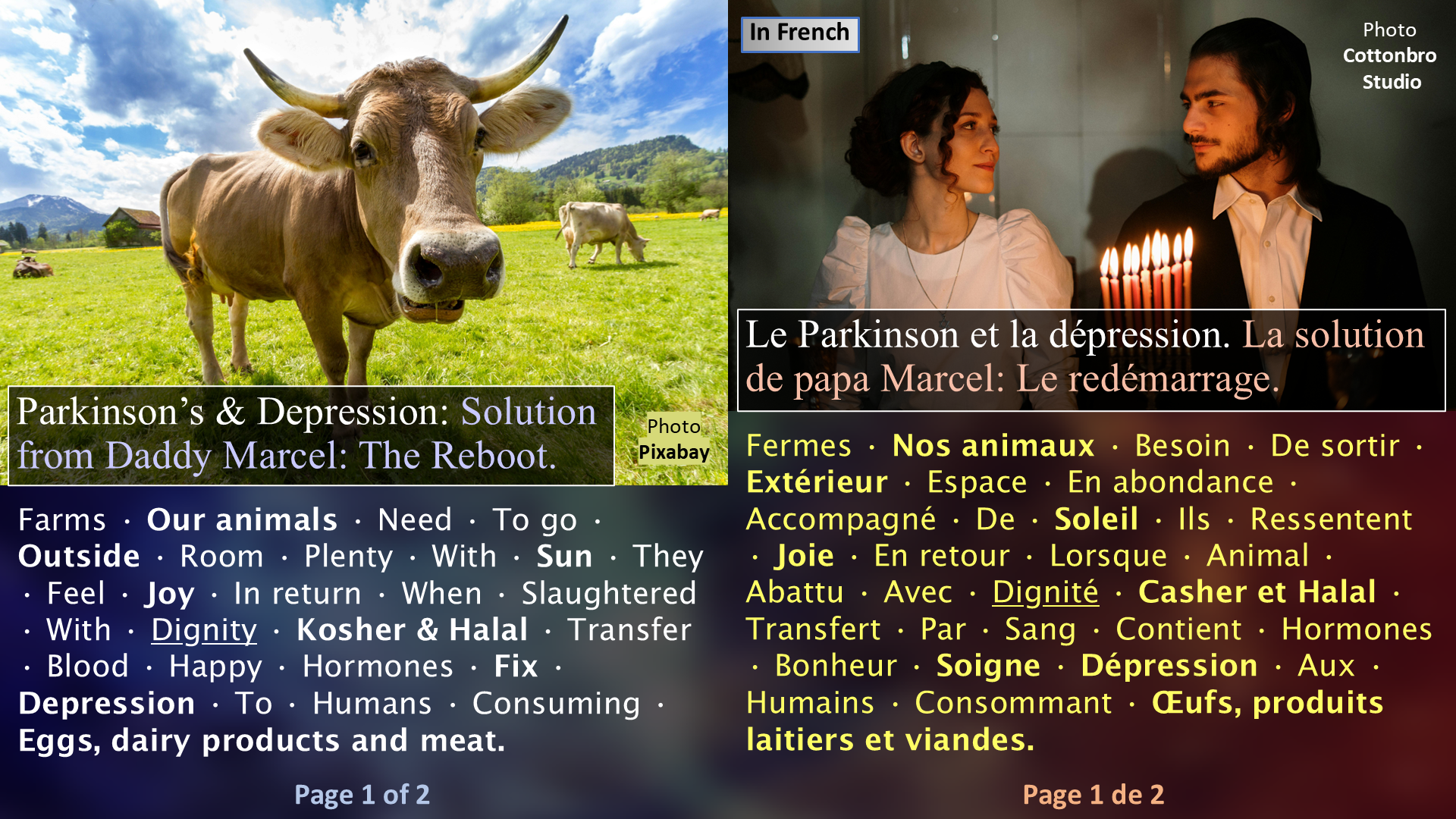 The Parkinson Formula / La formule du Parkinson - Page 1