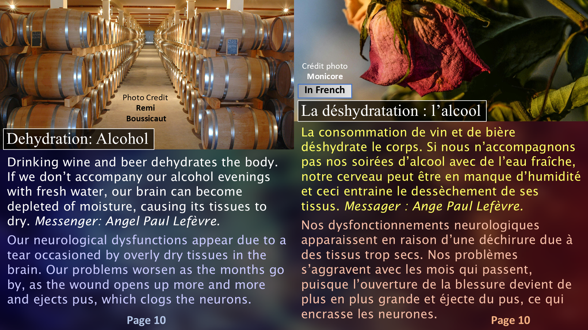 Brain Discomforts - Page 10 / Les inconforts du cerveau - Page 10