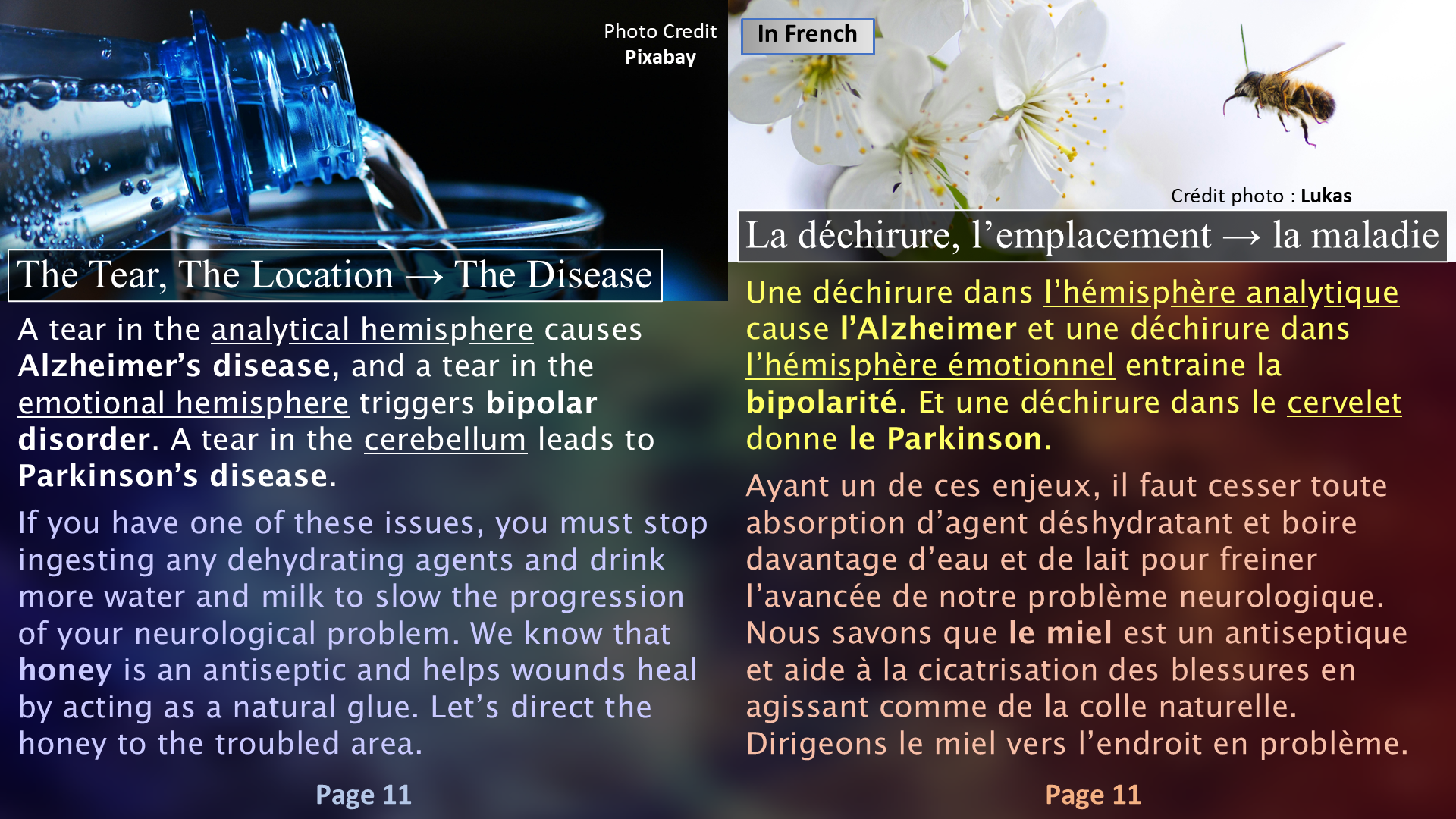 Brain Discomforts - Page 11 / Les inconforts du cerveau - Page 11