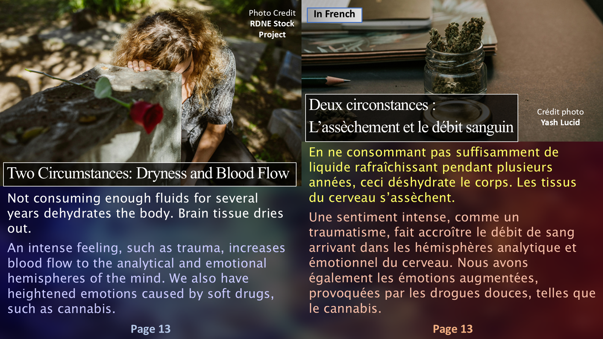 Brain Discomforts - Page 13 / Les inconforts du cerveau - Page 13