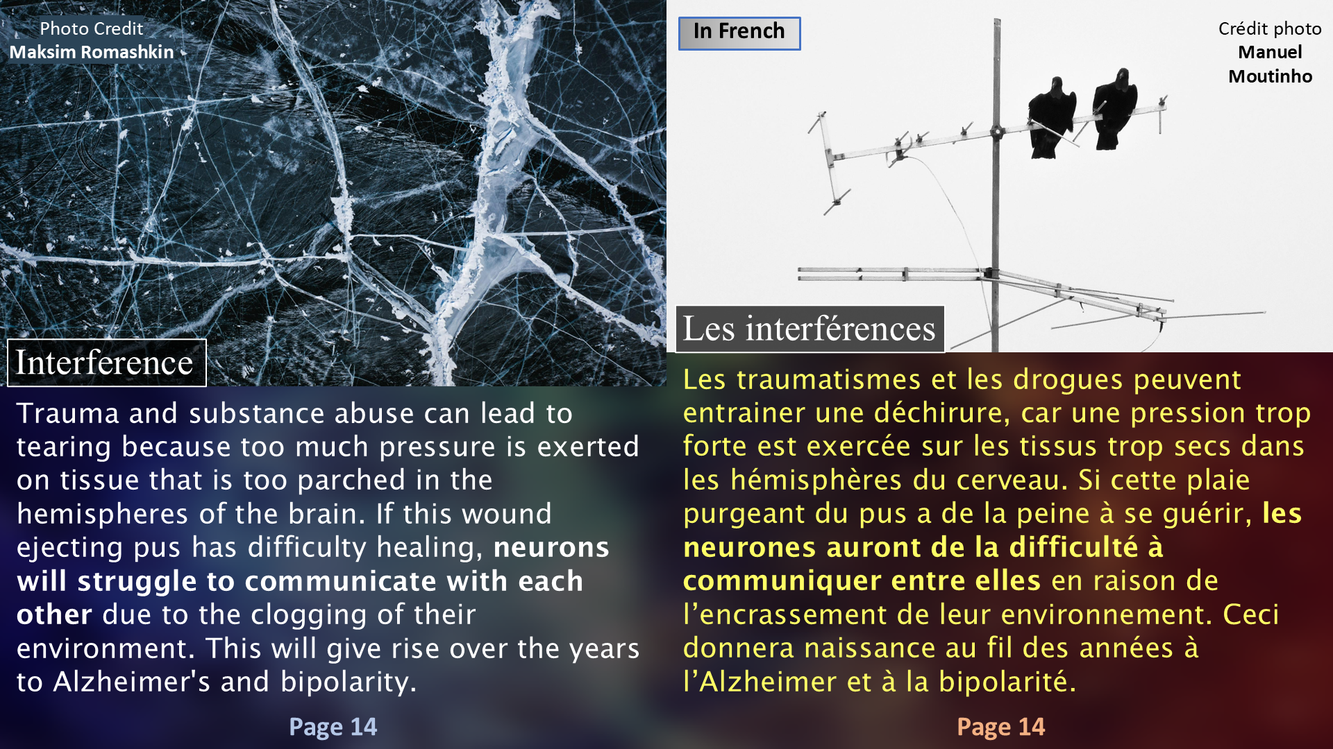 Brain Discomforts - Page 14 / Les inconforts du cerveau - Page 14