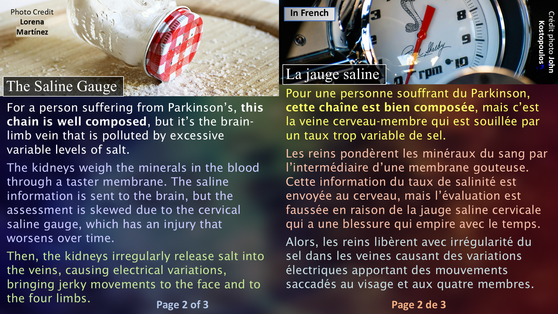 Parkinson’s Disease and Salt / Le Parkinson et le sel - Page 2