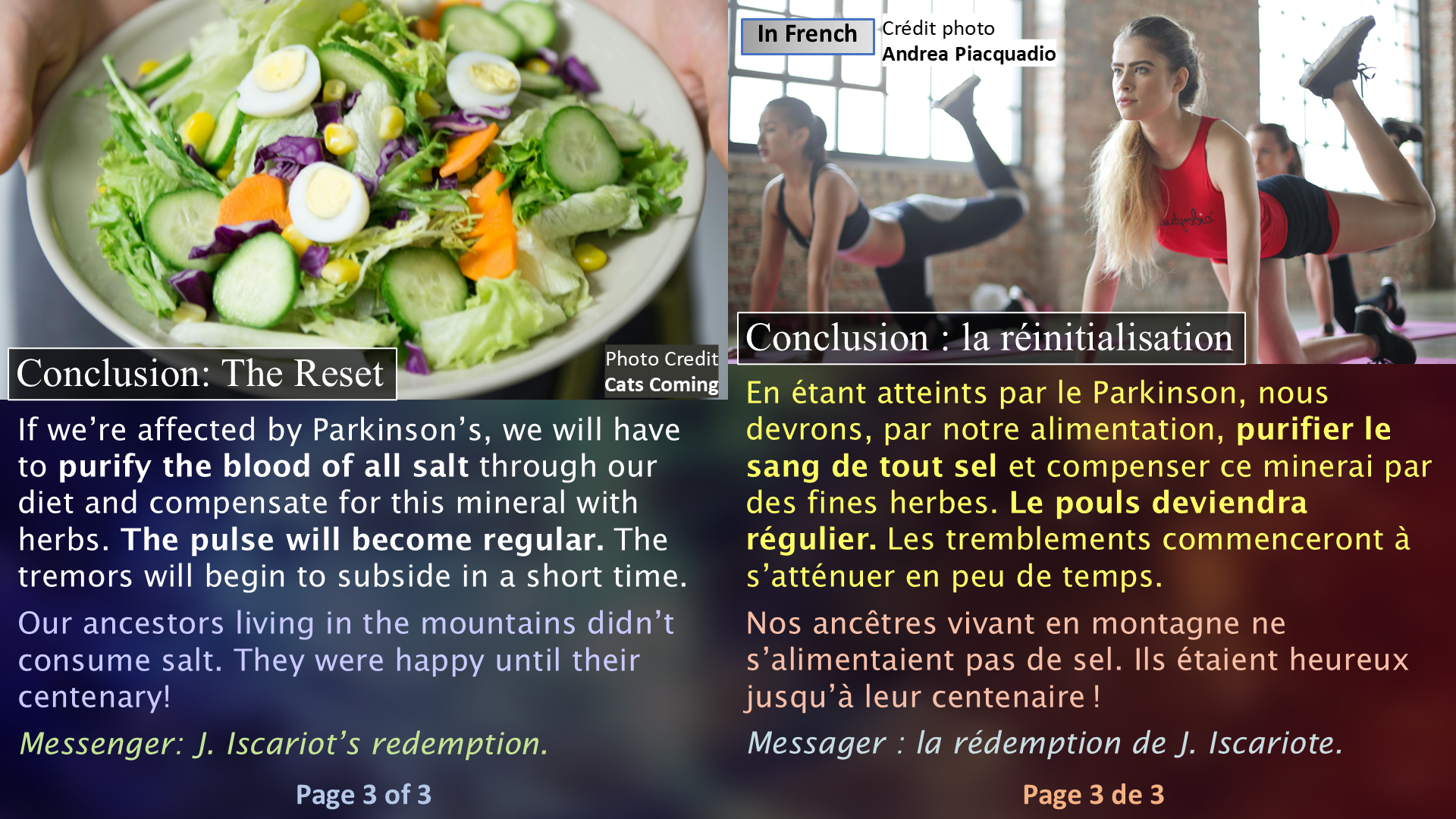 Parkinson’s Disease and Salt / Le Parkinson et le sel - Page 3