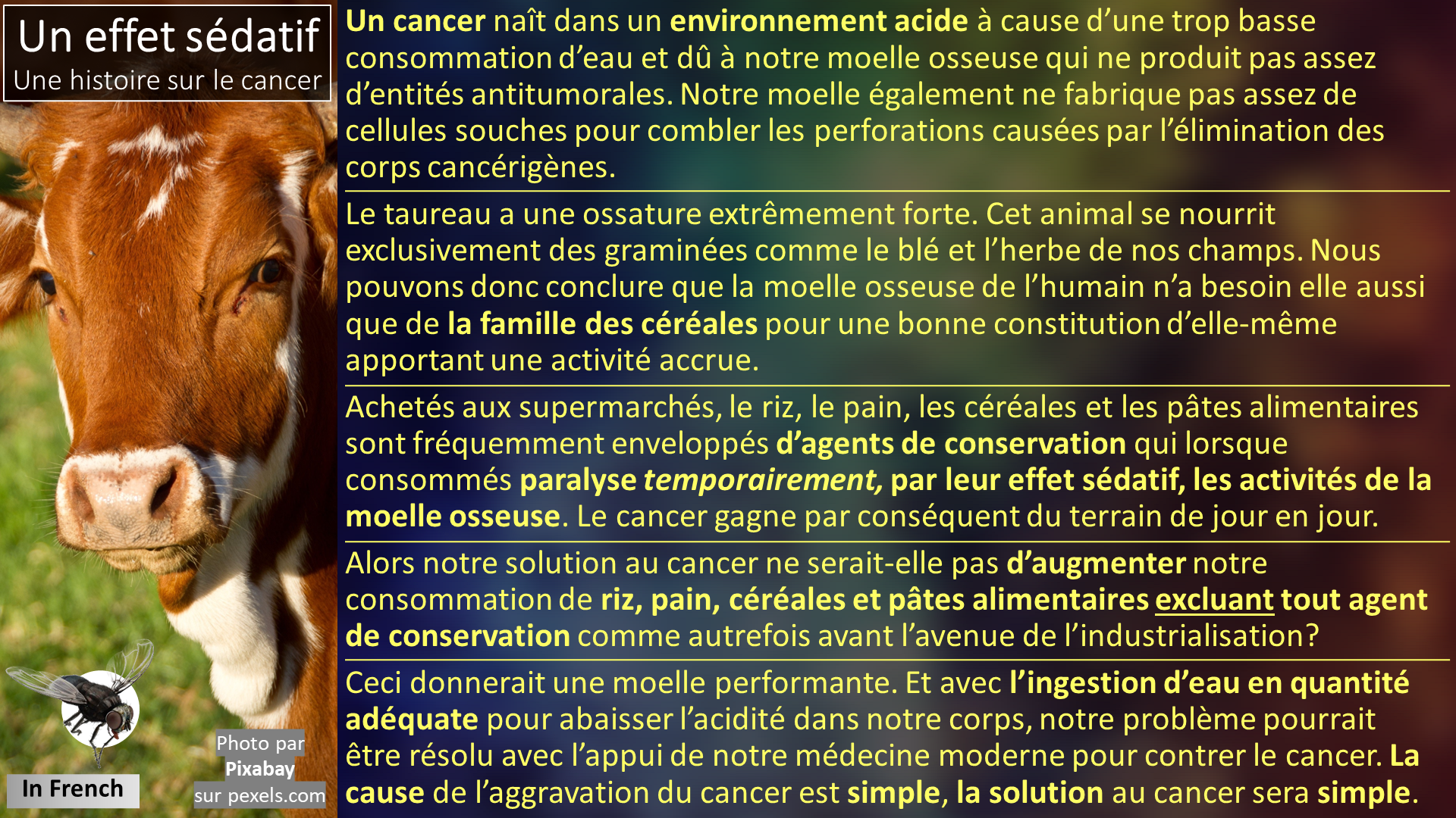 Un effet sédatif - Une histoire sur le cancer